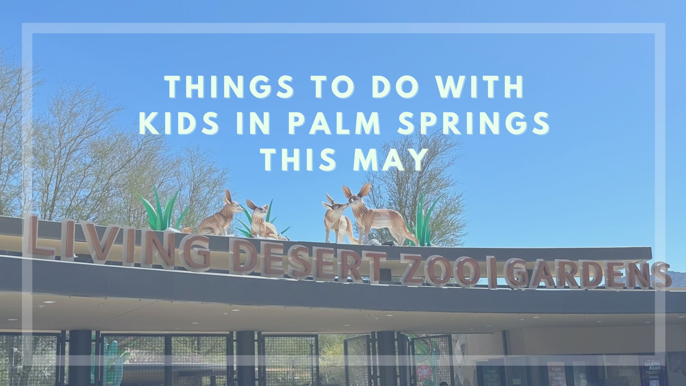 Things to do With Kids in Palm Springs This May
